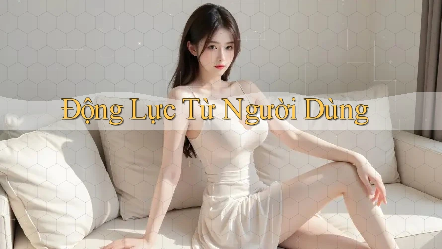 Động Lực Từ Người Dùng Động Lực Từ Người Dùng