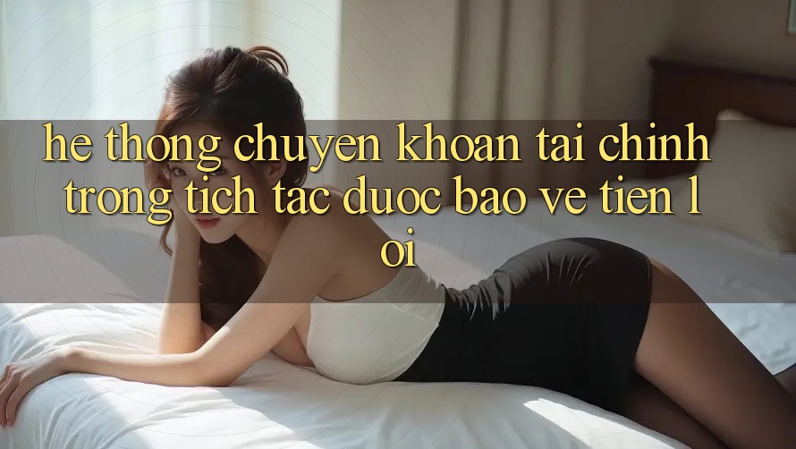 Hệ thống chuyển khoản tài chính: Trong tích tắc - Được bảo vệ - Tiện lợi Hệ thống chuyển khoản tài chính: Trong tích tắc - Được bảo vệ - Tiện lợi