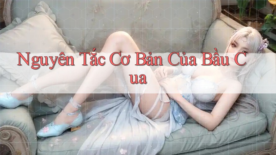 Nguyên Tắc Cơ Bản Của Bầu Cua Nguyên Tắc Cơ Bản Của Bầu Cua