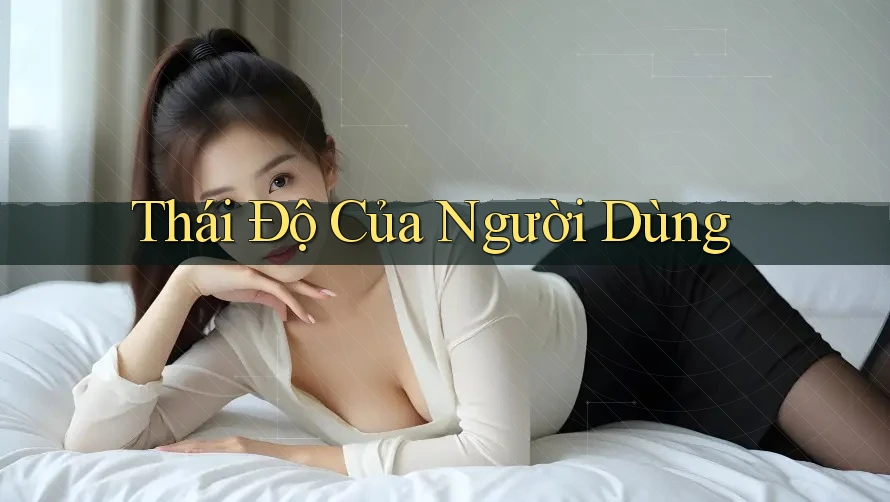 Thái Độ Của Người Dùng Thái Độ Của Người Dùng